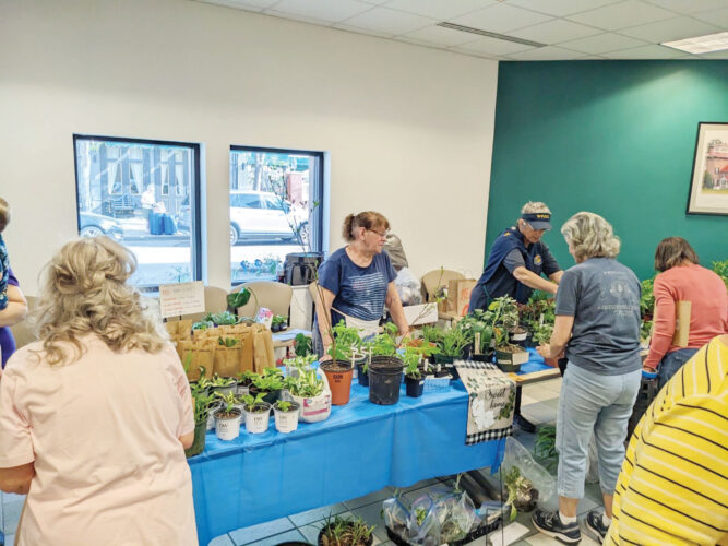 Master Gardeners plan Spring Seminar and Sale